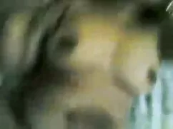 রুক্ষ, হট বাংলা সেক্ ...