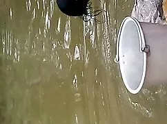 পুরানো - বালিকা বাংল ...