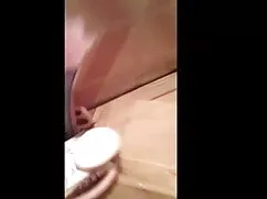 মাই এর, ইংলিশ সেক্স  ...