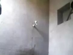 বহু পুরুষের এক হট সে ...