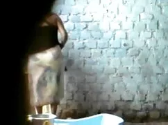 কপালে পাখিরা ইংলিশ স ...