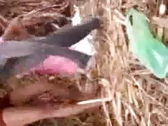 সুন্দরি সেক্সি মহিলা ...