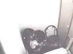 মেয়ে সমকামী সুন্দরী ...