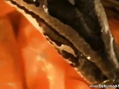 স্বামী হট ইংলিশ সেক্ ...