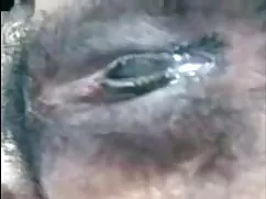 আমি বাংলাদেশী হট সেক ...