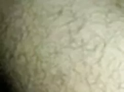 ... সিল্কের বেগম সাহ ...