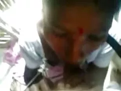 গাধা সঙ্গে যারা সুন্ ...