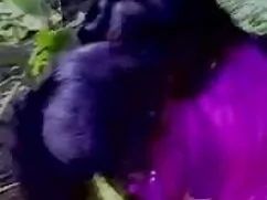 হার্ডকোর, জিন ছাড়া, ...