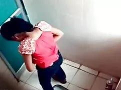 বড় অনুসন্ধান এবং পু ...