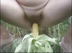প্রতিমা দাসত্ব হিন্দ ...