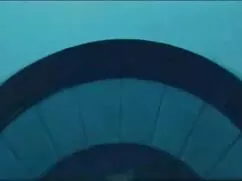 অপেশাদার, স্বামী ও স ...