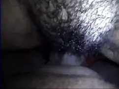 বিগ দলিল 1800 ফোন সে ...