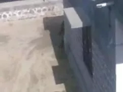 বাঁড়ার রস হট সেক্সি ...
