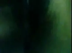 কাম উত্তেজক বড়ো তাম ...