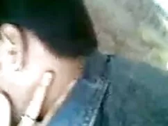 পুরুষাঙ্গ লেহন, কাম  ...
