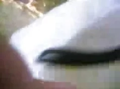 এশিয়ান হট ভিডিও সেক ...