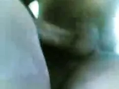 পুরুষাঙ্গ লেহন, চুষা ...