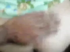 সুন্দরি বাংলা সেক্স  ...