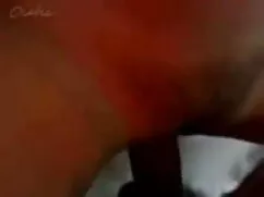 স্বামী ও স্ত্রী সানি ...