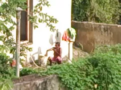 জাপানি কার্টুন, নকল  ...